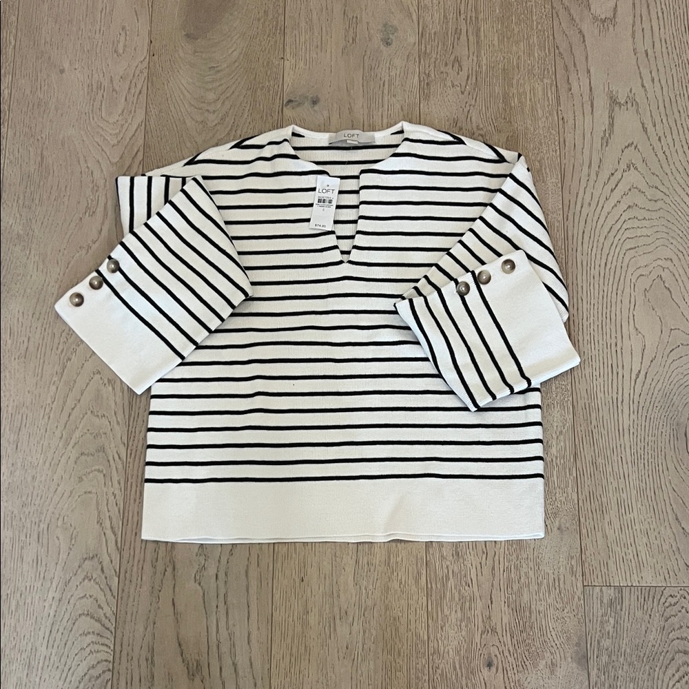 Ann Taylor Loft sweater